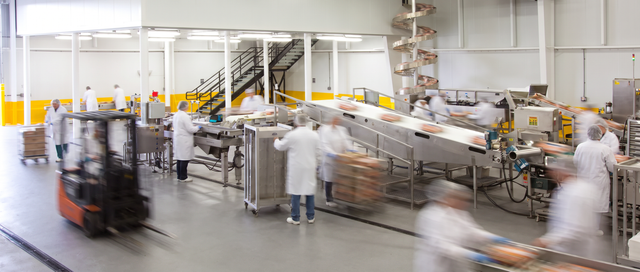 Active food-processing facility with workers and conveyor equipment